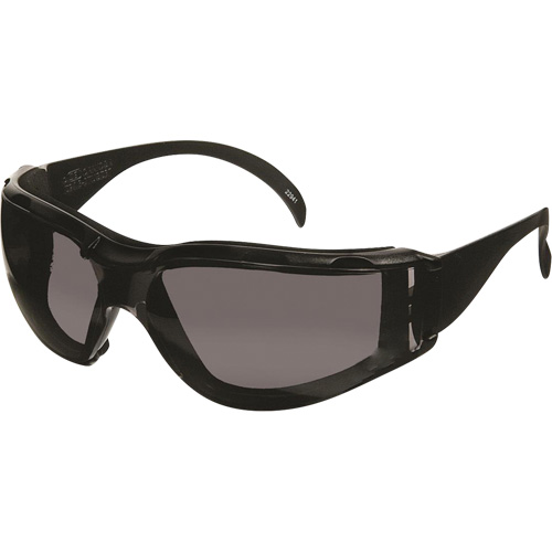 CeeTec DX Safety Glasses, Grey Lens, Anti-Fog/Anti-Scratch, Meets/Exceeds CSA Z94.3 Air Extreme Inc.