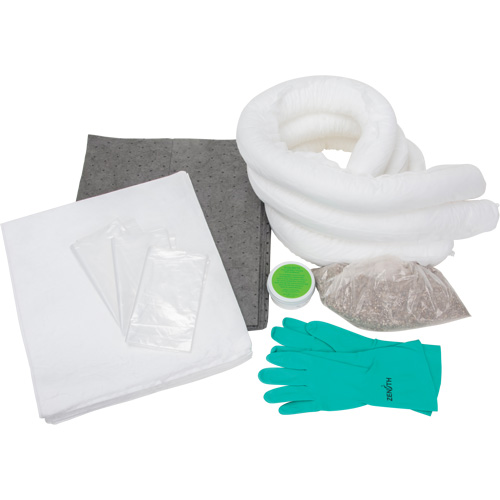 Spill Kit, Oil Only/Universal, Bag, 10 US gal. Absorbancy Air Extreme Inc.