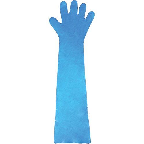 Disposable Gloves, Polyethylene, Powder-Free, Blue Air Extreme Inc.
