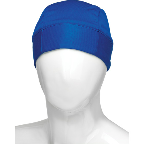 Cooling Skull Cap, Blue Air Extreme Inc.