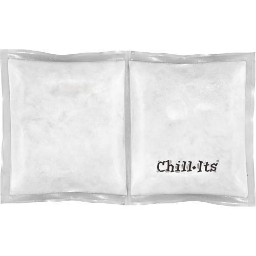 Sachet de refroidissement &agrave; changement de phase r&eacute;utilisable Chill-Its 6283? Air Extreme Inc.