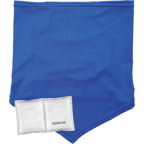 Chill-Its 6482 Cooling Neck Gaiter Bandana with Rechargeable Phase Change Packs, Small/Medium, Blue Air Extreme Inc.