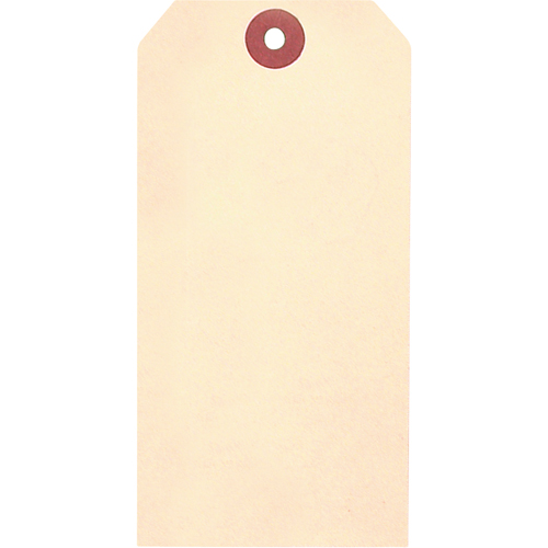 &eacute;tiquettes vierges en papier cartonn&eacute; de manille, Papier cartonn&eacute;, 1-5/8" la x 3-1/4" h Air Extreme Inc.