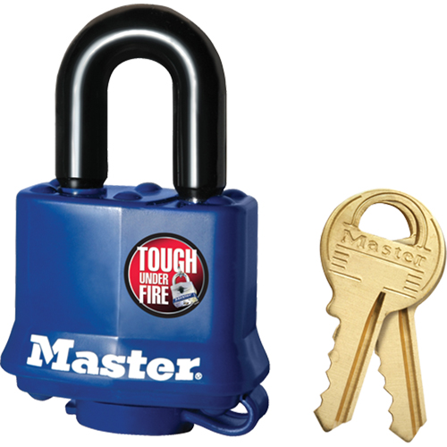 Cadenas r&eacute;sistant aux intemp&eacute;ries, Cl&eacute;s diff&eacute;rentes, Acier lamin&eacute;, Largeur de 1-9/16" Air Extreme Inc.