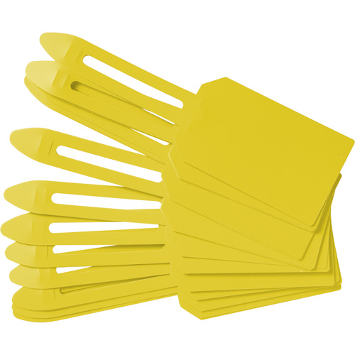 Blank Plastic Lock-On Tags, Plastic, 3-1/4" W x 5-4/5" H, Blank Air Extreme Inc.