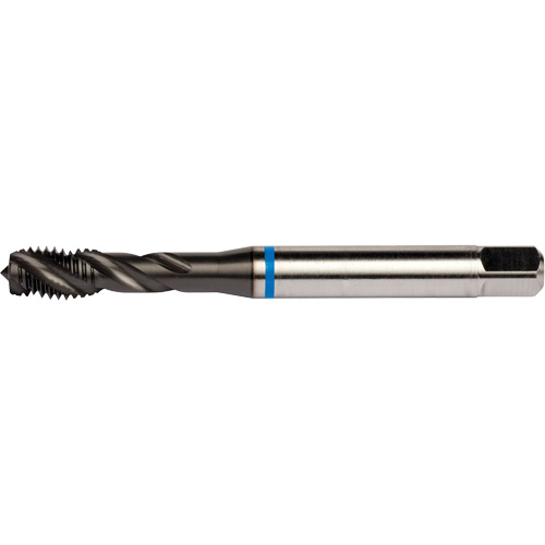 Taraud &agrave; cannelures h&eacute;licoidales Blue Shark, Acier rapide au cobalt, Filet de 1/4"-28, 3,15" l Air Extreme Inc.
