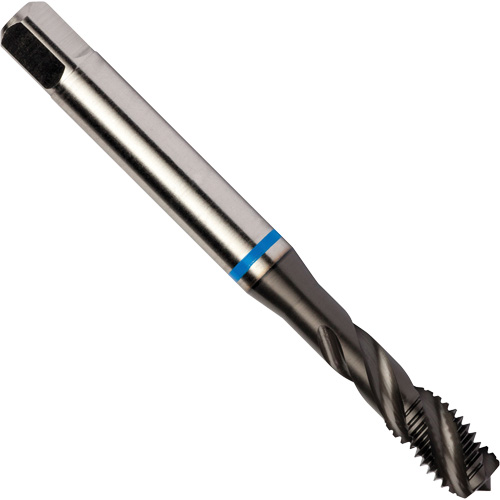 Taraud &agrave; cannelures h&eacute;licoidales Blue Shark, Acier rapide au cobalt, Filet de 1/4"-28, 3,15" l Air Extreme Inc.