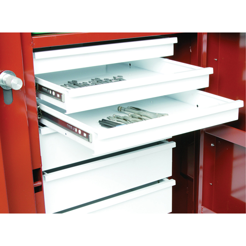 &eacute;tabli roulant, 49-7/8" la x 40-5/8" h x 26-7/8" p, Capacit&eacute; de 24,6 pi³ Air Extreme Inc.