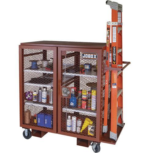 Mobile Mesh Cabinet, Steel, 37 Cubic Feet, Red Air Extreme Inc.