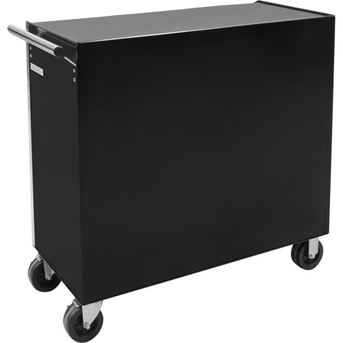 Industrial Tool Cart, 11 Drawers, 41" W x 18-3/4" D x 39-1/3" H, Black Air Extreme Inc.
