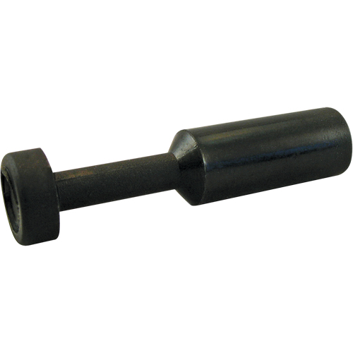 P.t.c. Plug Air Extreme Inc.