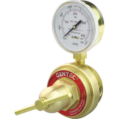 Medium-to-Heavy-Duty Pipeline Regulator, Oxygen, 1/4" NPT(F) Port Inlet Air Extreme Inc.