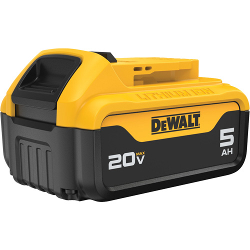 Bloc-piles Max XR Premium, Lithium-ion, 20 V, 5 A Air Extreme Inc.
