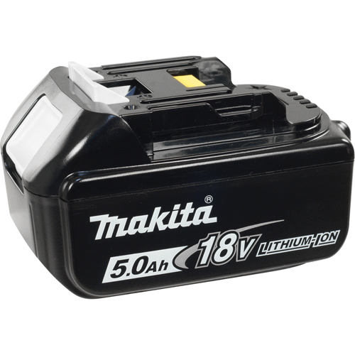 Battery, Lithium-Ion, 18 V, 5.0 A Air Extreme Inc.