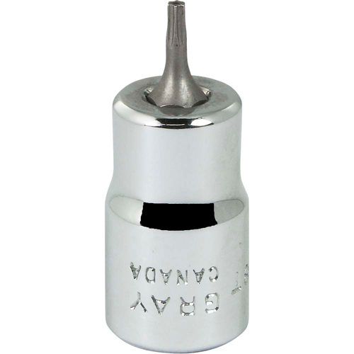Bit Socket, Torx&reg;, T8 x 2-1/8" L, 3/8" Drive Air Extreme Inc.