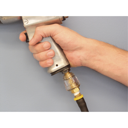 Lubrificateur - Usage standard, 1/4" NPT, Max. 120 PSI, Canalisation Air Extreme Inc.