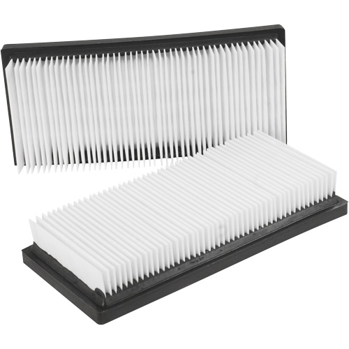 Filtres plats principaux, Cartouche, Pour 12 gal. US Air Extreme Inc.