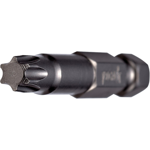 Embout pour outil &eacute;lectrique, Torx, Embout T-10, Prise 1/4", Longueur 2" Air Extreme Inc.