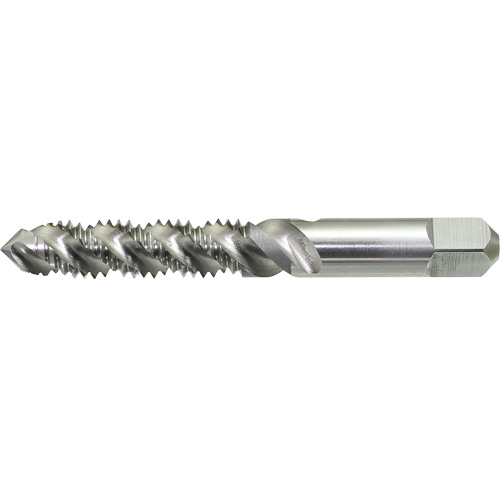 Taraud &agrave; main &agrave; cannelure spiral&eacute;e DRILLCO, Acier rapide, Filet 1/4"-20 Air Extreme Inc.