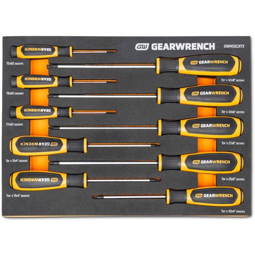 Jeu de tournevis bimat&eacute;riau Torx dans un plateau de rangement en mousse, 10 mcx Air Extreme Inc.