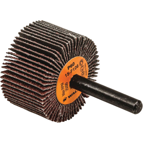 Disques &agrave; lamelles - Meules &agrave; lamelles Coolcut, Oxyde d'aluminium, Grain 60, 1-1/2" x 1" x 1/4" Air Extreme Inc.