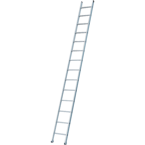 Industrial Heavy-Duty Extension/Straight Ladders, 8', Aluminum, 300 lbs., CSA Grade 1A Air Extreme Inc.