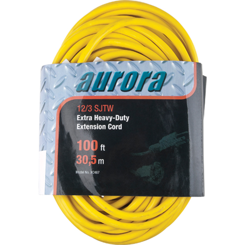 Cordon rallonge en vinyle, Ext&eacute;rieur, SJTW, AWG 12/3, 15 A, 100' Air Extreme Inc.