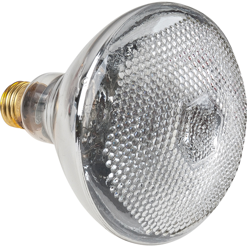 Lampes &agrave; incandescence &eacute;conomiques Air Extreme Inc.