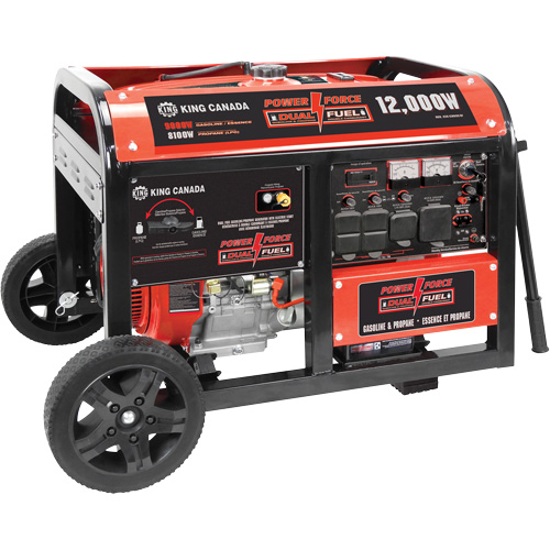 Gasoline/Propane Generator with Electric Start Air Extreme Inc.