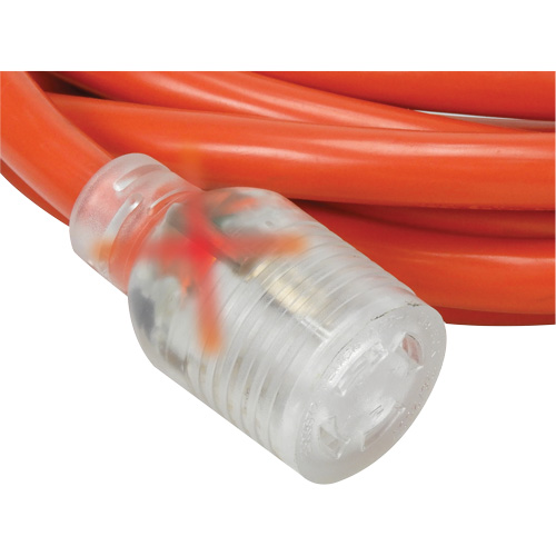 Rallonge pour g&eacute;n&eacute;ratrice &agrave; quatre prises, Ext&eacute;rieur, AWG 10, 30 A, 4 prise(s), 25' Air Extreme Inc.