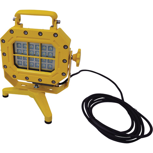 Explosion Proof Floodlight with Stand, LED, 40 W, 5600 Lumens, Aluminum Housing Air Extreme Inc.