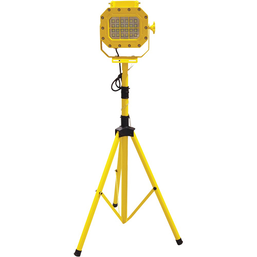 Diffuseur anti-d&eacute;flagration avec tr&eacute;pied, DEL, 40 W, 5600 lumens, Boîtier en Aluminium Air Extreme Inc.