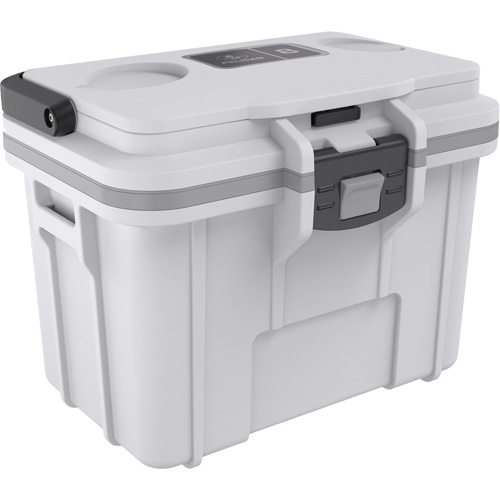 Personal Cooler, 8 qt. Capacity Air Extreme Inc.