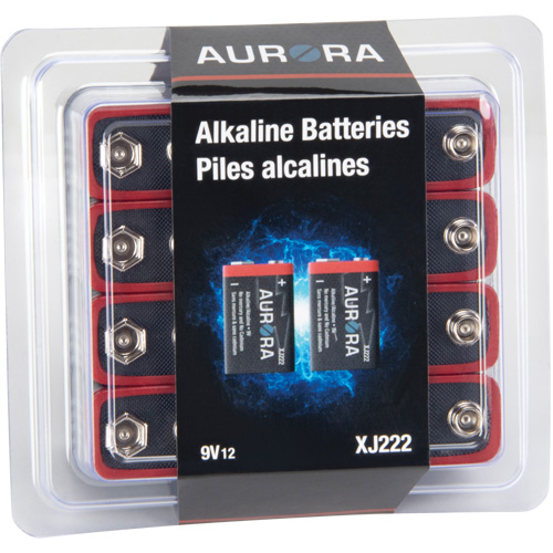 Piles alcalines industrielles, 9 V Air Extreme Inc.