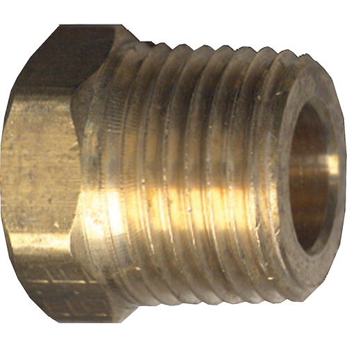 Hex Head Cored Plug, Pipe, 1/4" Dia., Brass Air Extreme Inc.