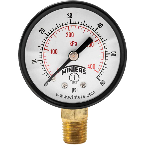 Economy Pressure Gauge, 2" , 0 - 60 psi, Bottom Mount, Analogue Air Extreme Inc.