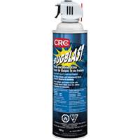 Insecticide Bug Blast, 397 g, &agrave; base de solvant Air Extreme Inc.