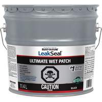 LeakSeal&reg; Ultimate Wet Roof Patch Air Extreme Inc.