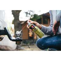 Gel lubrifiant pour remorque 3-in-One, Canette a&eacute;rosol Air Extreme Inc.