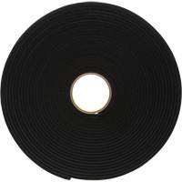 Ruban de mousse en vinyle 4504, 25,4 mm (1") la x 16,5 m (54') lo, 250 mils, Noir Air Extreme Inc.