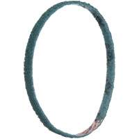 Courroies de traitement des surfaces Scotch-Brite Air Extreme Inc.