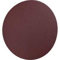 PSA Cloth Disc 248D, 12" Dia., 36 Grit, Aluminum Oxide Air Extreme Inc.