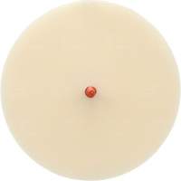 Disque Scotch-Brite 7502 pour retrait de colle et de bandes de moulage, 6" dia. Air Extreme Inc.