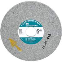 Scotch-Brite EXL Deburring Wheel, 6" x 1/2", 1" Arbor, Aluminum Oxide Air Extreme Inc.