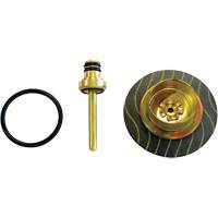 Filter/Regulator - Relieving Diaphragm & Valve Assembly Air Extreme Inc.
