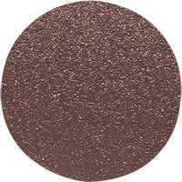 Disque de ponçage pour le bois, 12" dia., Grain 60 Air Extreme Inc.