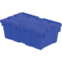 Flipak&reg; Polyethylene Plastic (PE) Distribution Containers, 19.7" x 11.8" x 7.3", Blue Air Extreme Inc.
