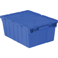 Flipak&reg; Polyethylene Plastic (PE) Distribution Containers, 21.9" x 15.2" x 9.3", Blue Air Extreme Inc.