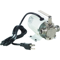 Non-Submersible, Self-Priming Plated Brass Transfer Pumps - Pump Only, 115 V, 360 GPH, 1/10 HP Air Extreme Inc.