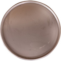Steel Drum Lid Air Extreme Inc.